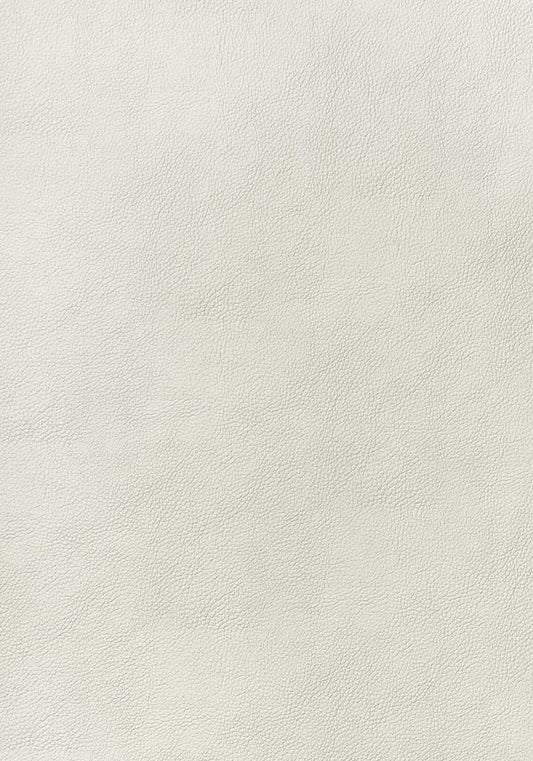 Thibaut Arcata Fabric W78381