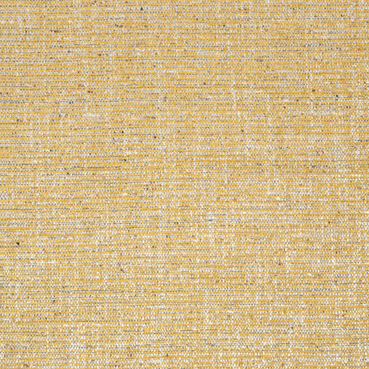 Thibaut Elgin Fabric W80943