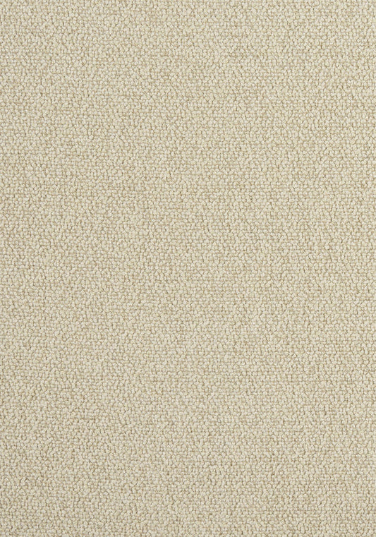 Thibaut Dolcetto Fabric W8143