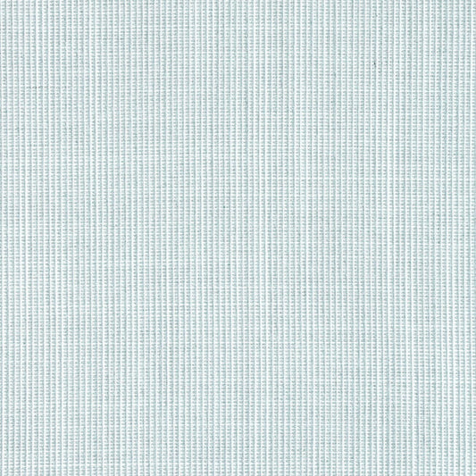 Thibaut Mateo Fabric W8550