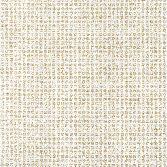 Thibaut Remy Dot Fabric W8701