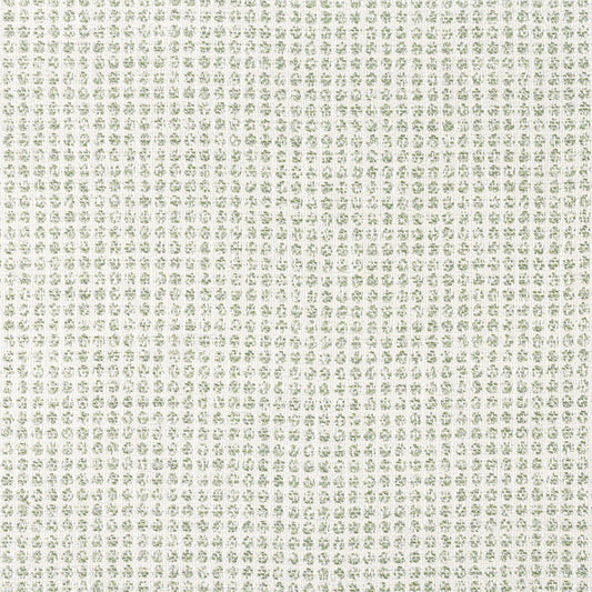 Thibaut Remy Dot Fabric W8703