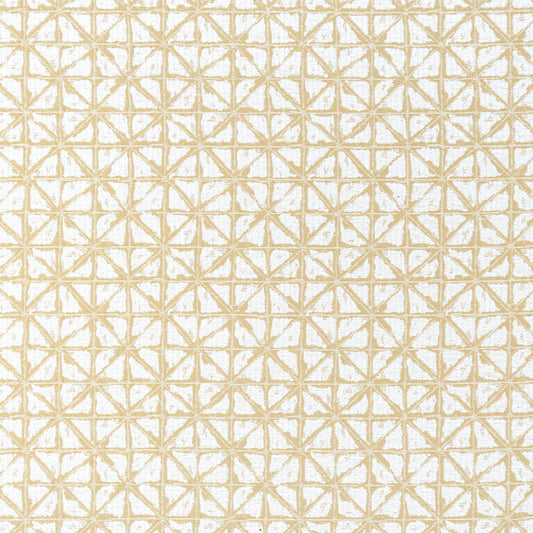 Thibaut Soren Fabric W8741