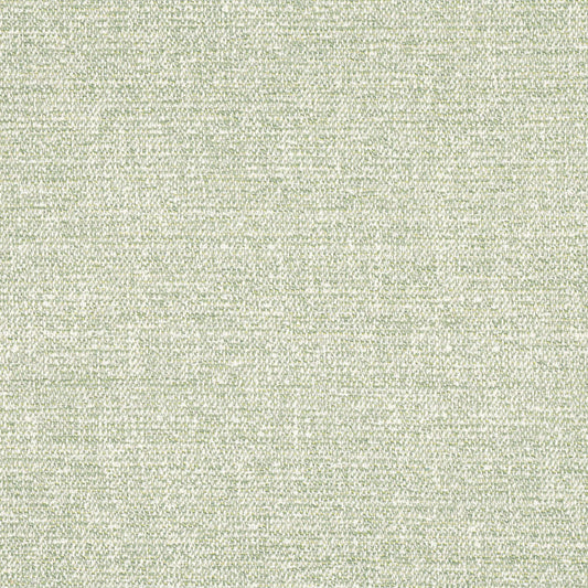 Thibaut Calais Fabric W8800