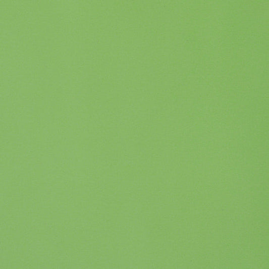 Thibaut Lyra Velvet Fabric W8924