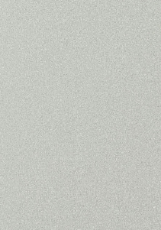 Thibaut Salta Fabric W9023