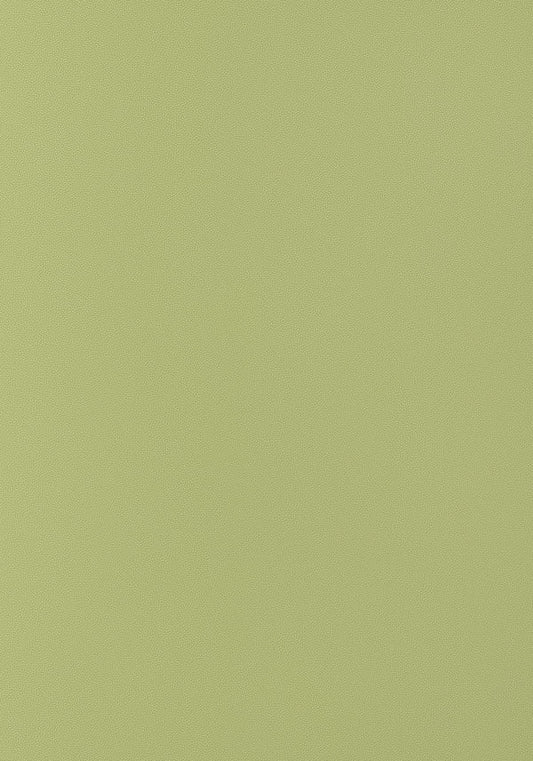 Thibaut Salta Fabric W9029
