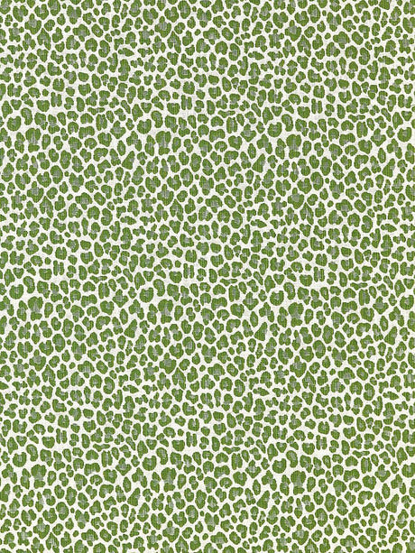 scalamandre backyard bengal ivy fabric - scala 27316-003