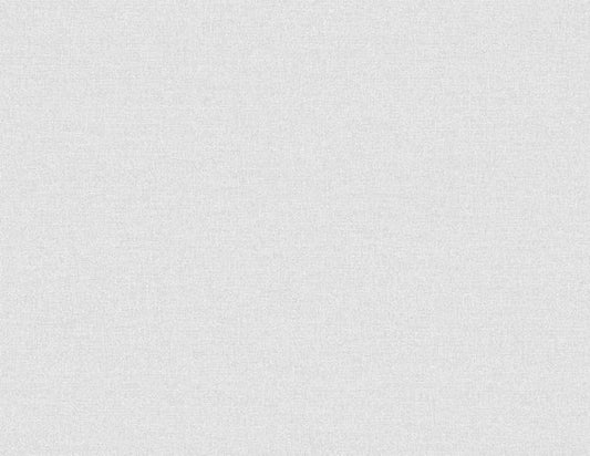 Seabrook Normandy Ice Rink Wallpaper