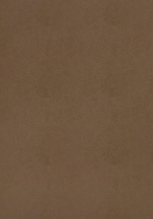 Thibaut Cordoba Fabric W9004