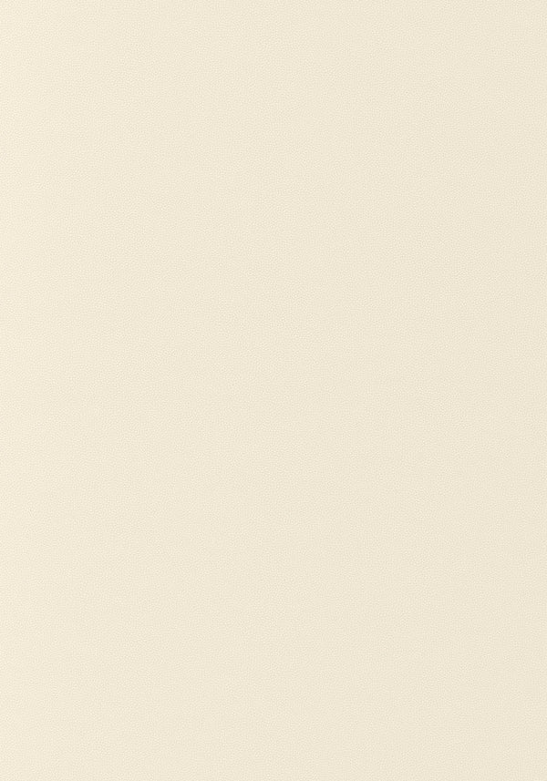 thibaut salta fabric w9014