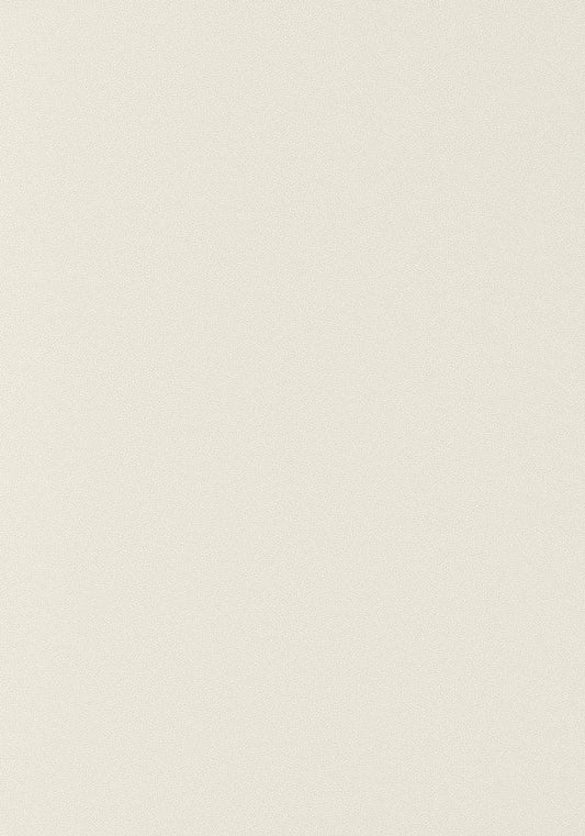Thibaut Salta Fabric W9017