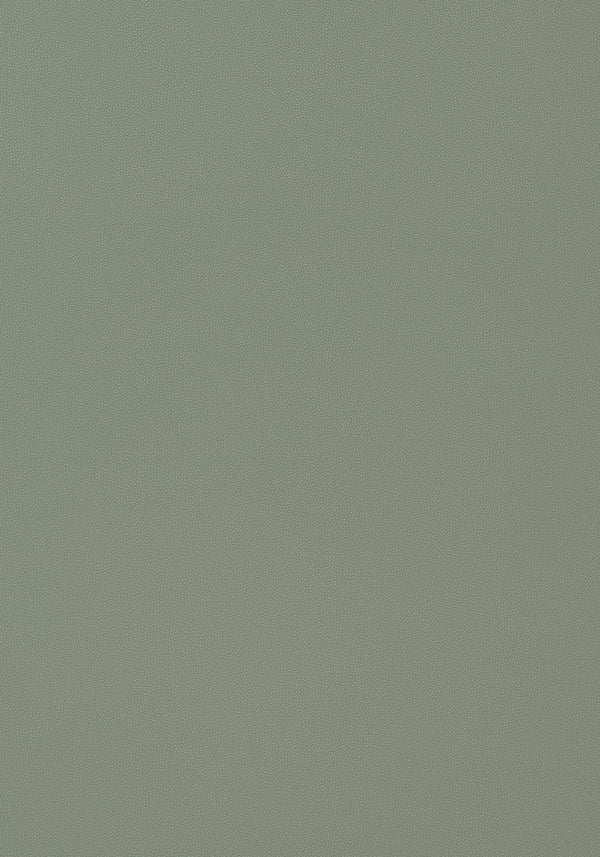 thibaut salta fabric w9025