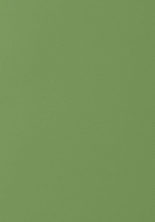 Thibaut Salta Fabric W9028