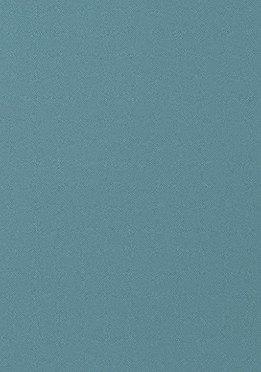 Thibaut Salta Fabric W9030