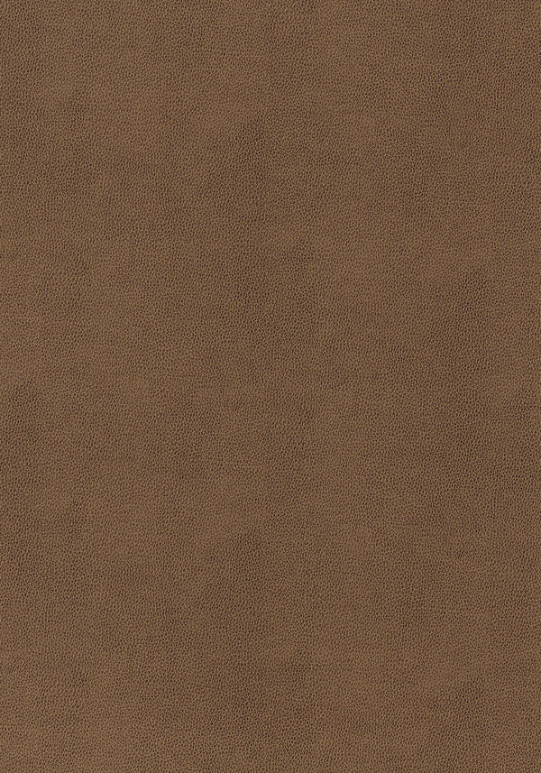 thibaut gaucho fabric w9054
