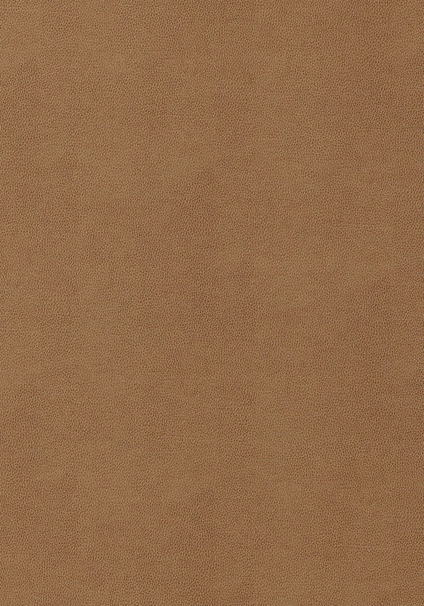 thibaut gaucho fabric w9053