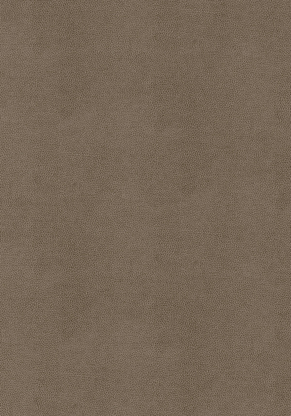 thibaut gaucho fabric w9055