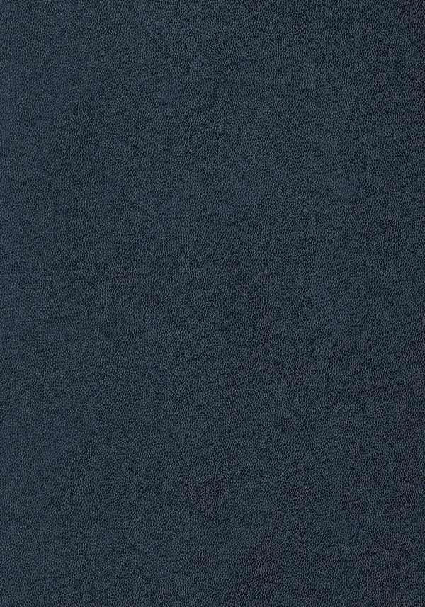 thibaut gaucho fabric w9058