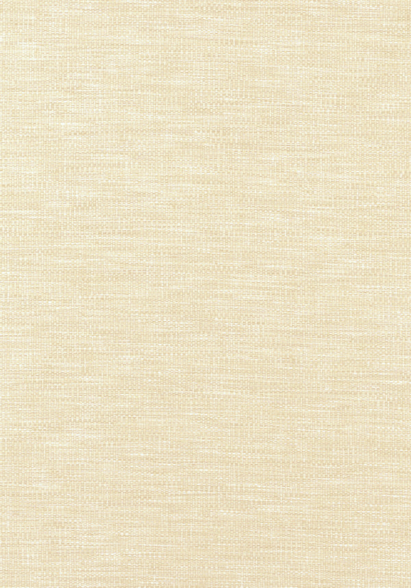 thibaut kaden fabric w9116