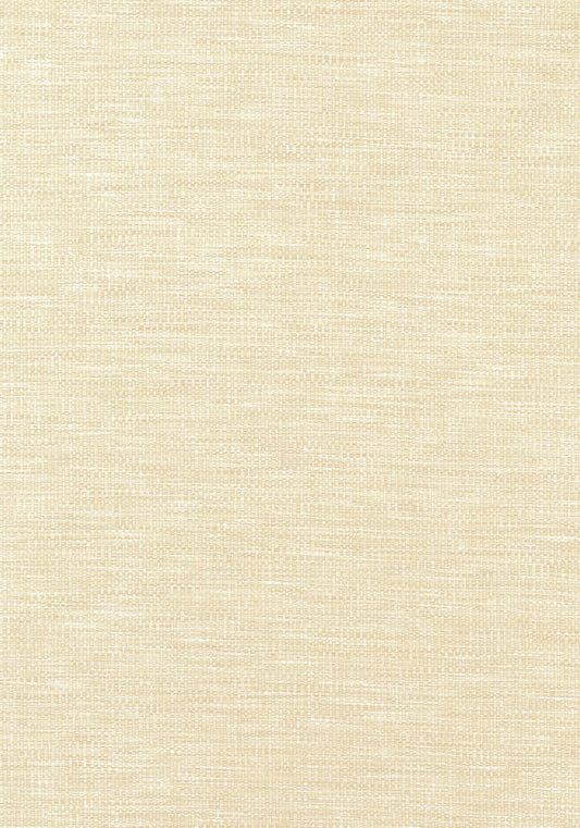Thibaut Kaden Fabric W9116