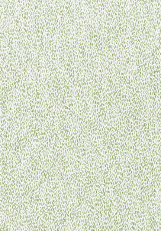 Thibaut Samara Fabric W9148