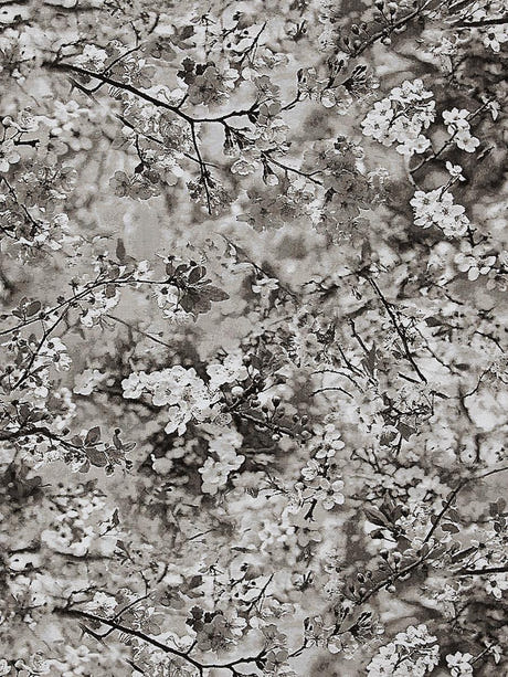 scalamandre sakura tapestry naturel fabric - scala h03468-001