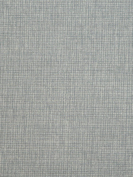 scalamandre mangrove m1 givre fabric - scala h07460-005