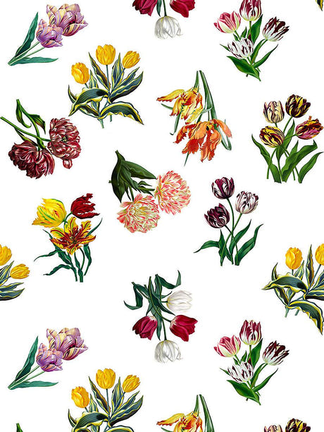 scalamandre etudes de fleurs brights fabric - scala n4etud-001