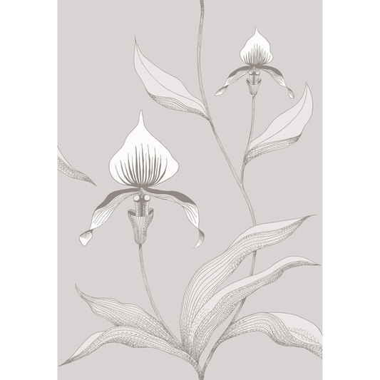 Cole & Son - Orchid - Grey/White - 95/10055.CS.0