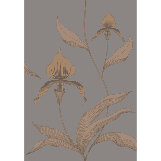 Cole & Son - Orchid - Bronze/Slate - 95/10056.CS.0