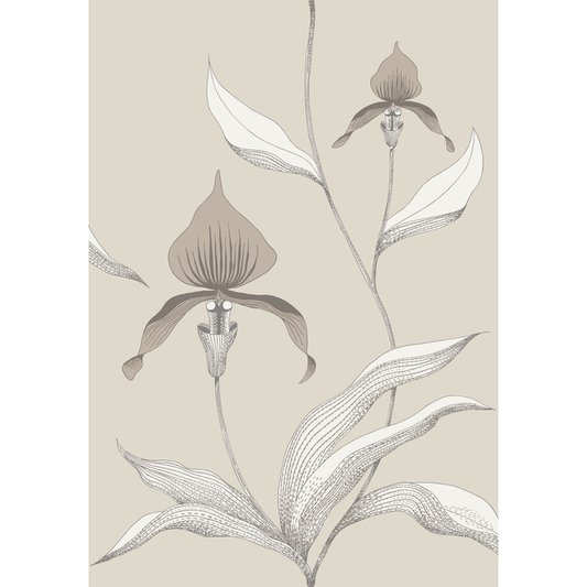 Cole & Son - Orchid - Linen/White - 95/10058.CS.0