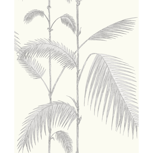 Cole & Son - Palm Leaves - Grey/White - 95/1008.CS.0