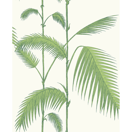 Cole & Son - Palm Leaves - Green/White - 95/1009.CS.0