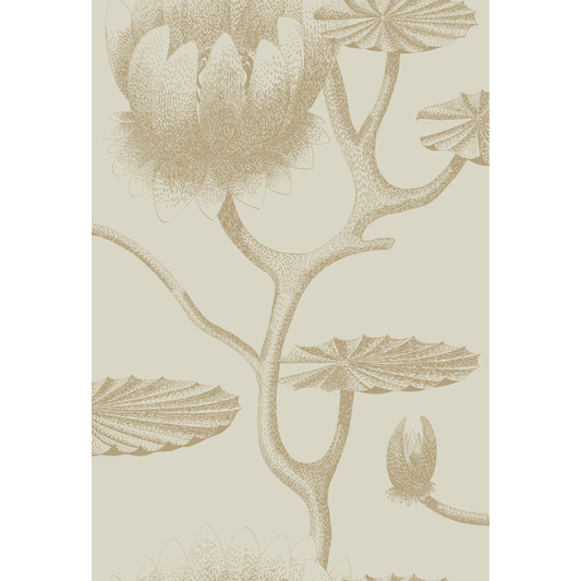 Cole & Son - Lily - Linen/Gold - 95/4019.CS.0