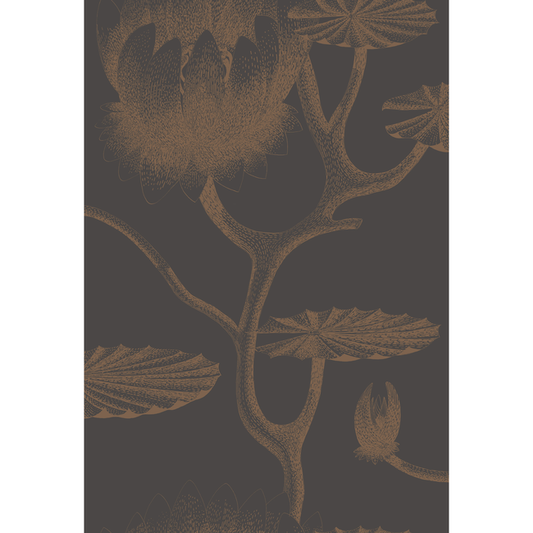 Cole & Son - Lily - Black/Bronze - 95/4021.CS.0