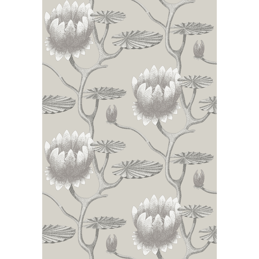 Cole & Son - Summer Lily - Taupe/White - 95/4025.CS.0
