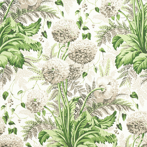 Anna French AF24538 Dahlia Spring on White Fabric