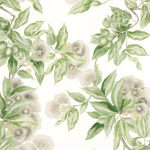 Anna French AF24551 Camellia Garden Spring on White Fabric