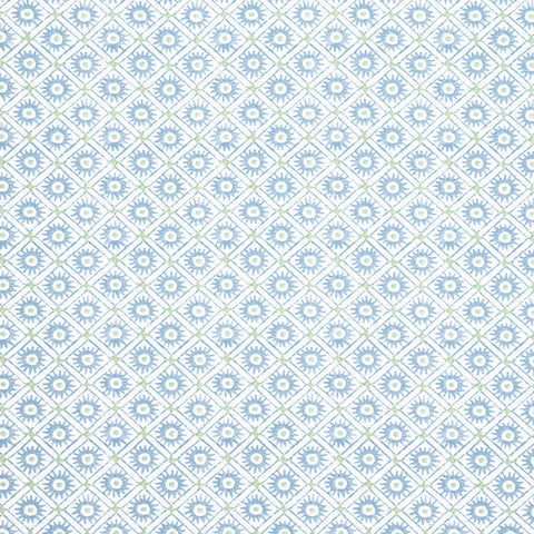 Anna French AF24565 Mini Sun Sky Fabric