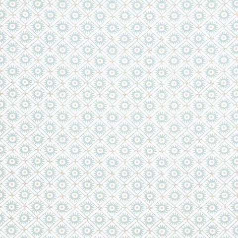 anna french af24567 mini sun robin's egg fabric