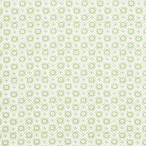 Anna French AF24568 Mini Sun Green Fabric