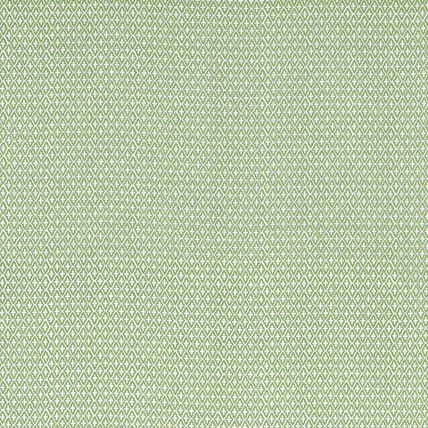 Anna French AF57814 Lindsey Green Fabric