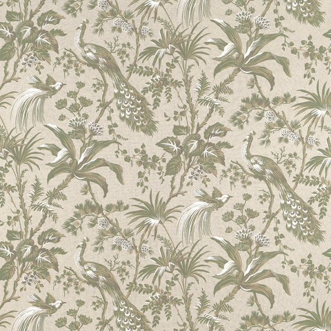 Anna French AF57832 Peacock Toile Green on Natural Fabric