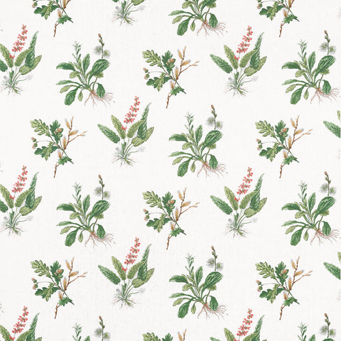Anna French AF57852 Woodland Green and Blush Fabric