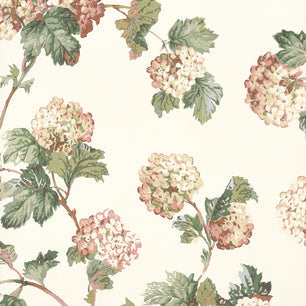 SUSSEX HYDRANGEA - Soft Gold - Thibaut - AT57848 - BRISTOL