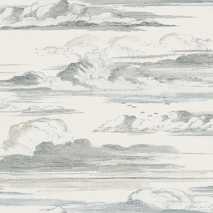 CIELO - Slate - Thibaut - AT57873 - BRISTOL