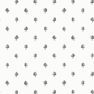 ASHTON - Black and White - Thibaut - AT57876 - BRISTOL