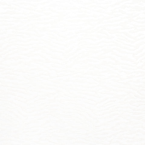 Anna French AW24518 Tadoba Velvet Ivory Fabric