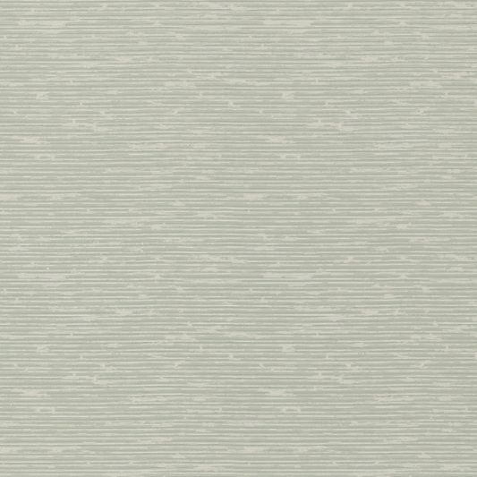 Grasscloth - Soft Green - G P & J Baker - BW45049.6.0